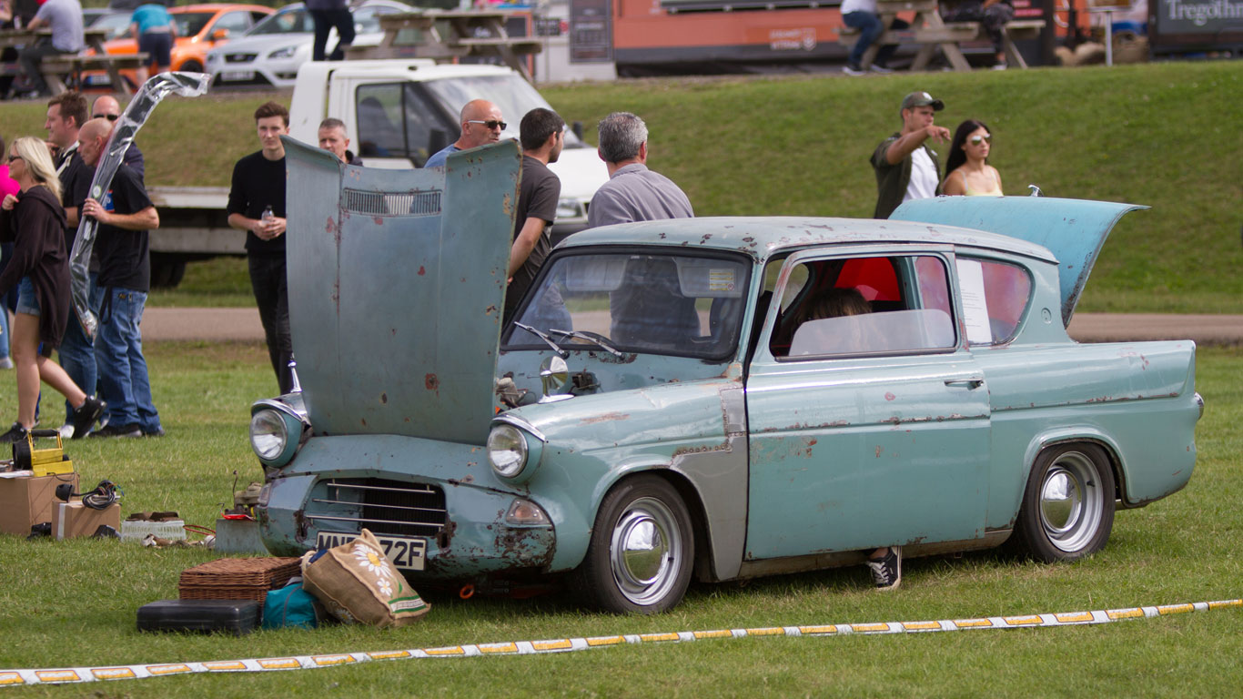 In pictures: the festival of fast Fords