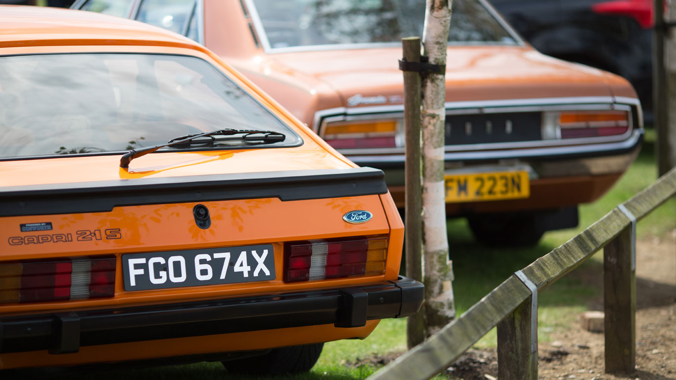 In pictures: the festival of fast Fords