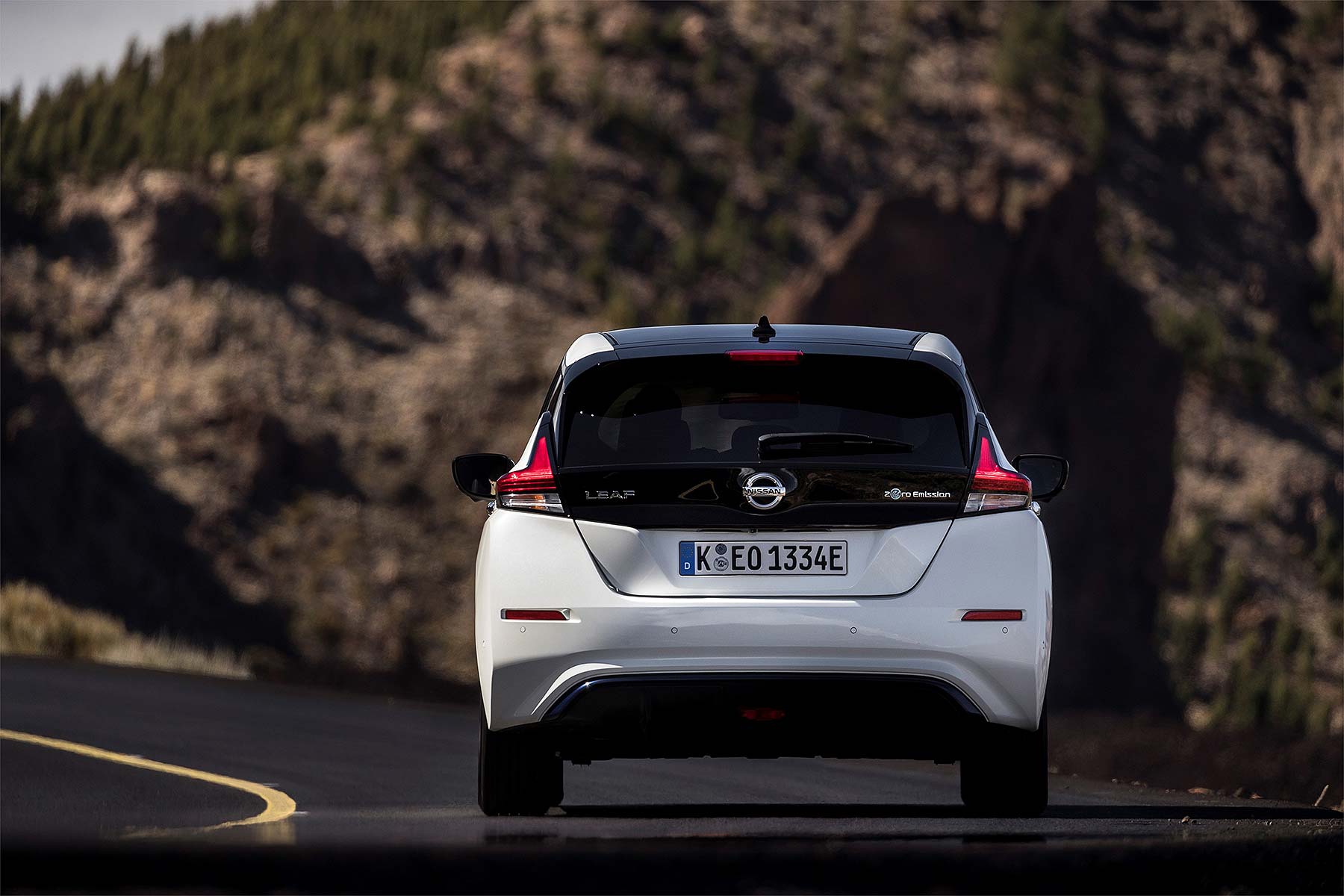 2018 Nissan Leaf