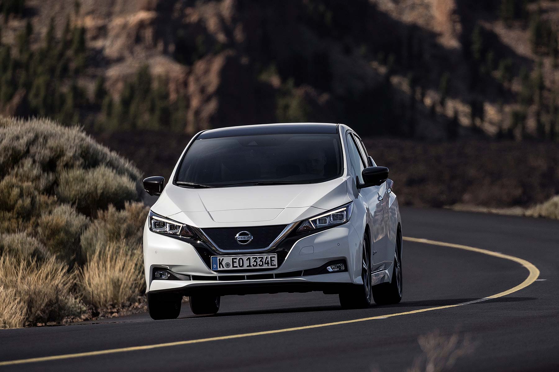 2018 Nissan Leaf