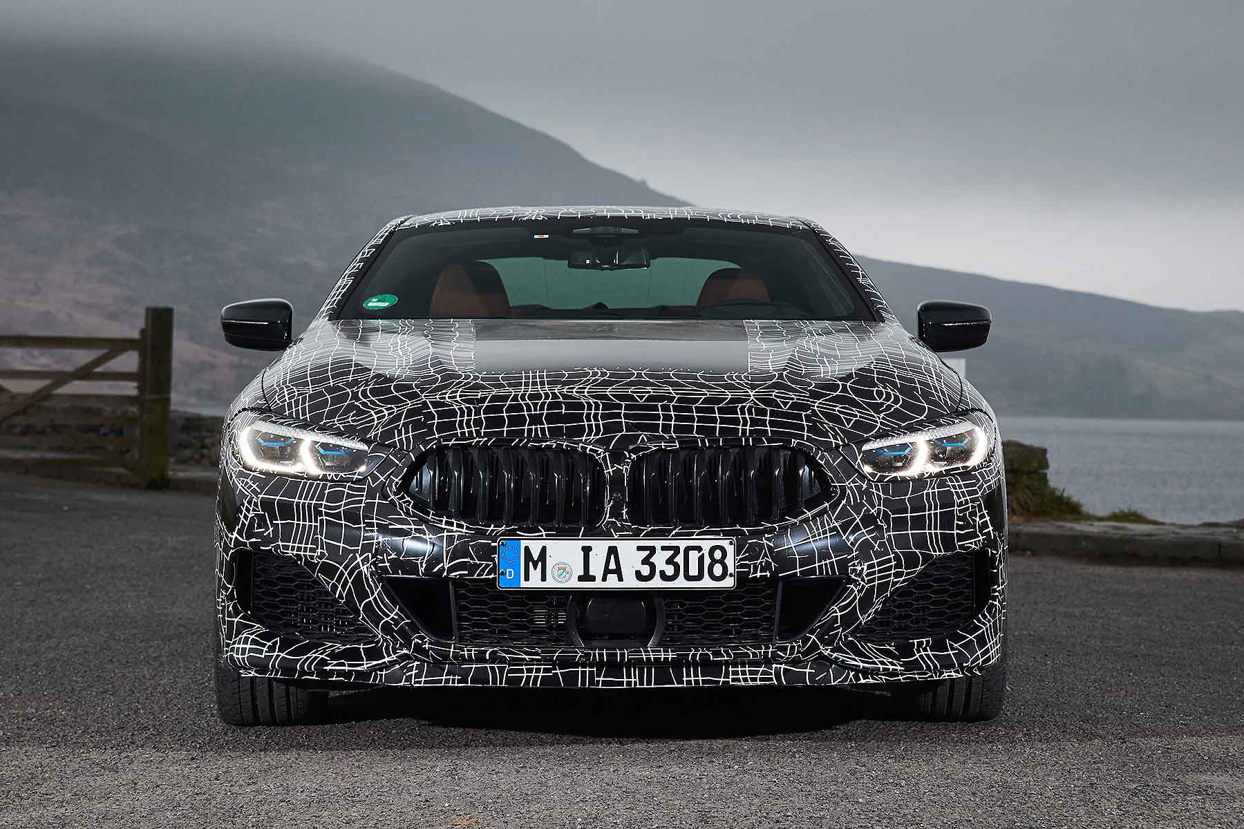 BMW 8 Series Coupe in Wales