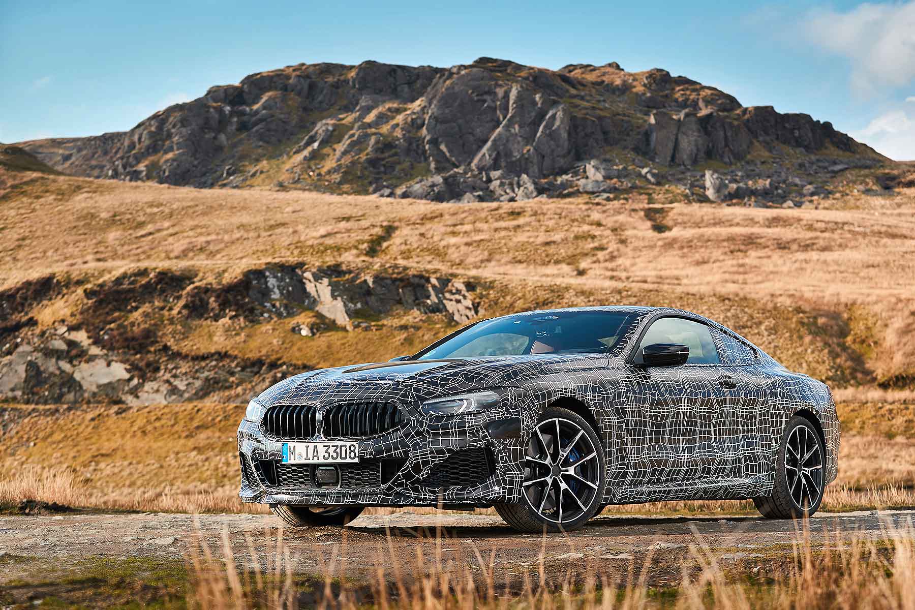 BMW 8 Series Coupe in Wales