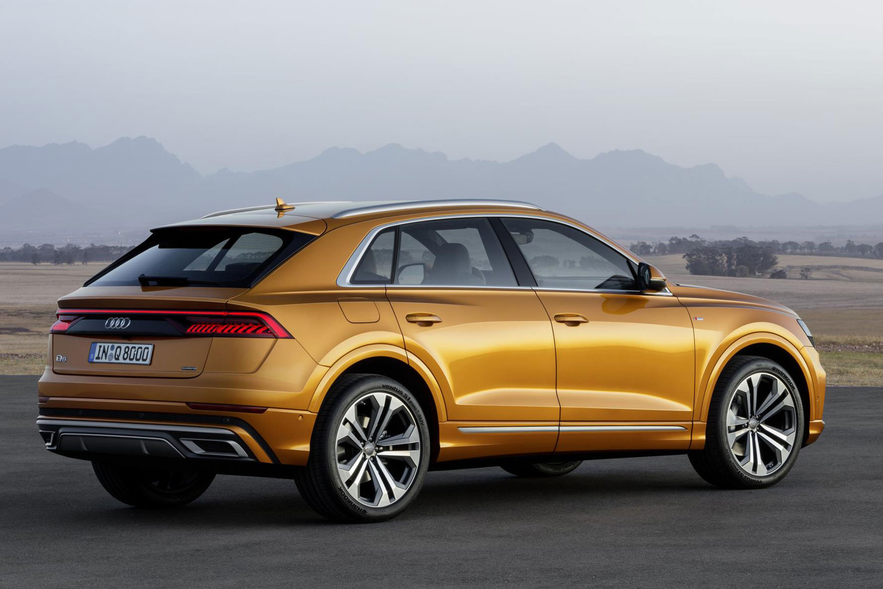 Audi Q8 rear