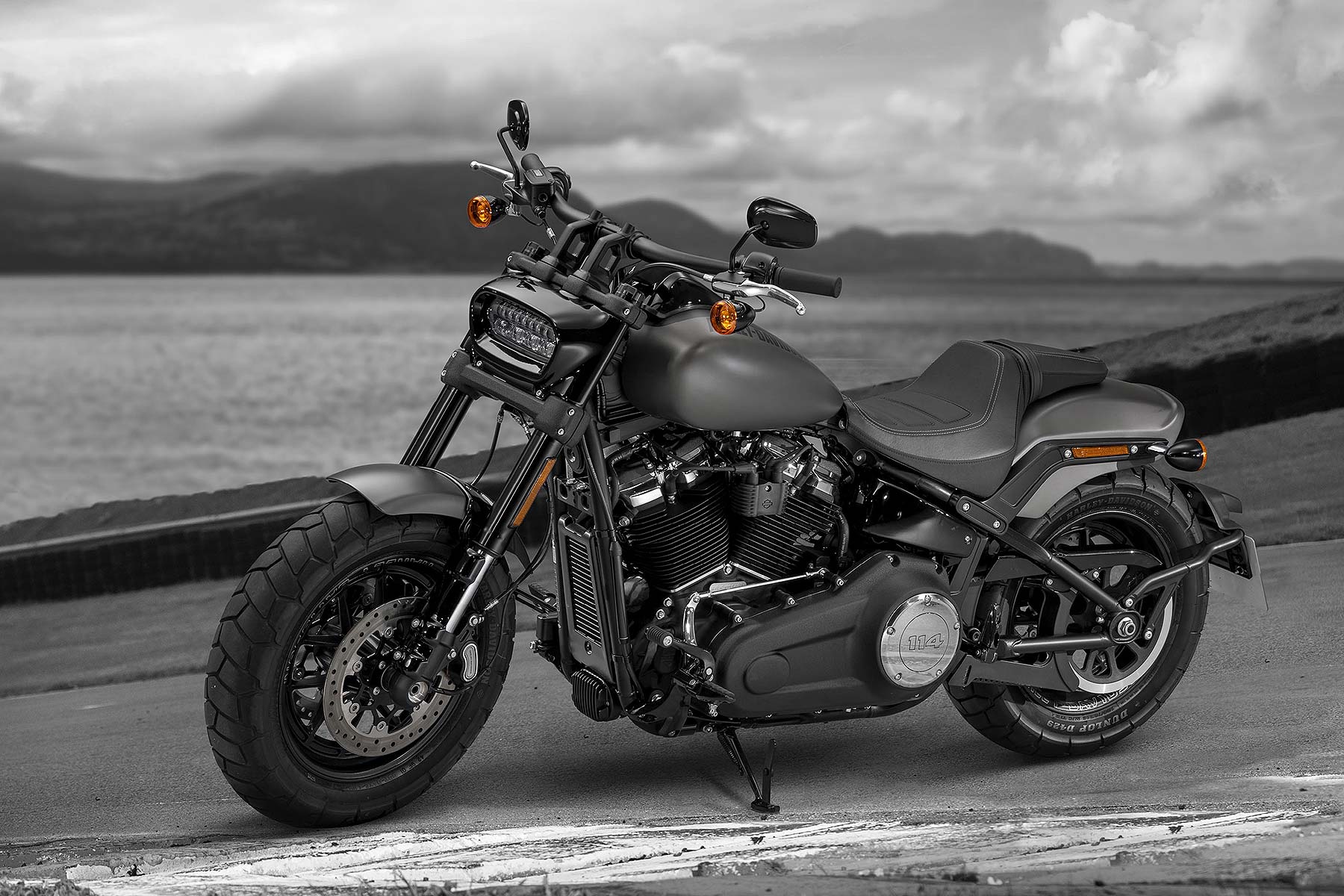 Harley Davidson Fat Bob