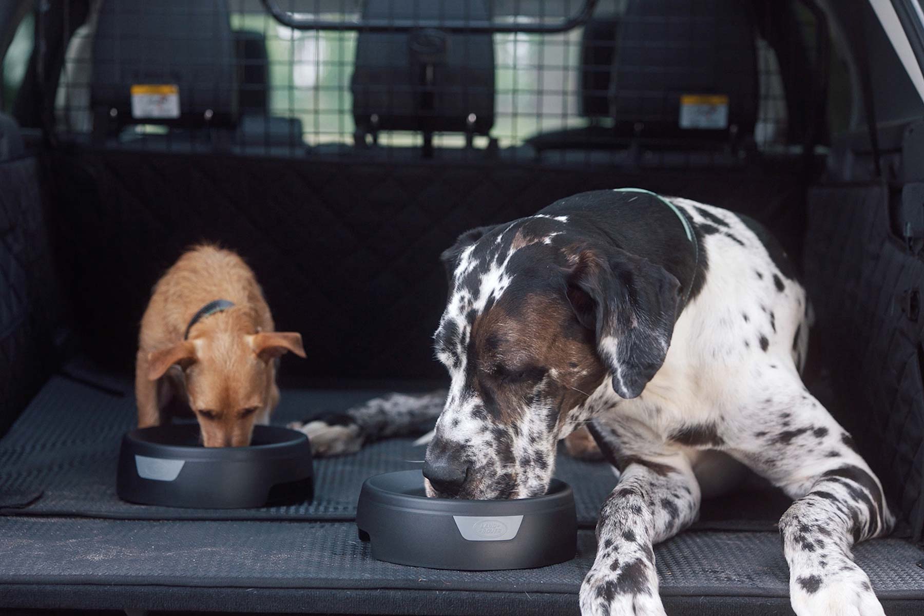 Land Rover Pet Packs