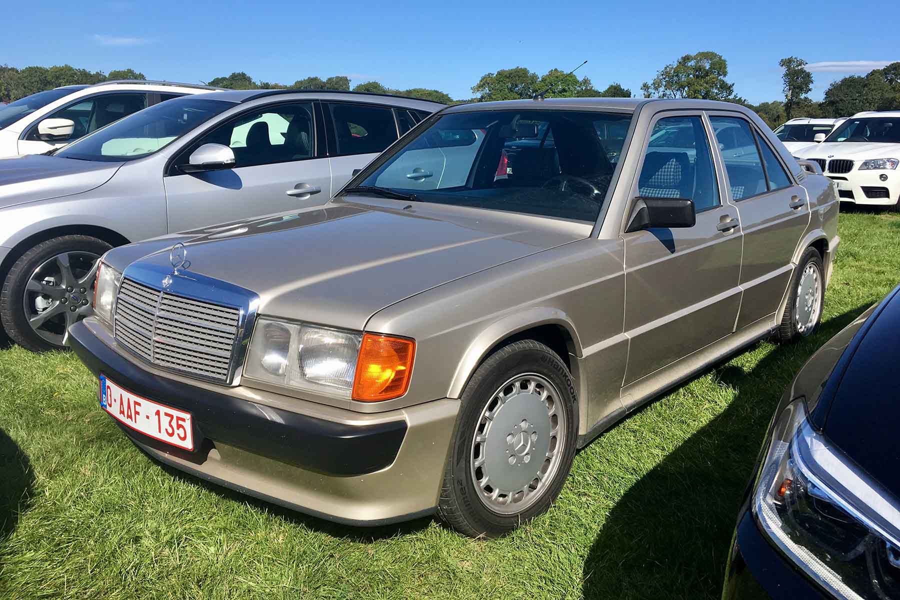 Amazing cars of the Goodwood Revival car park