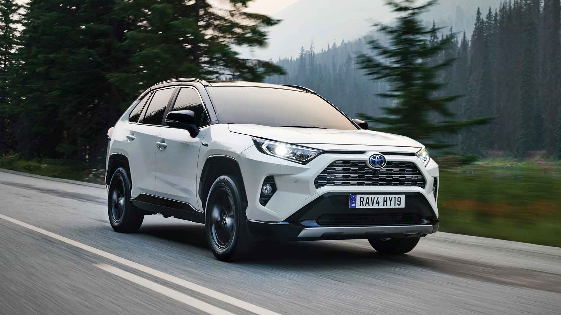 2019 Toyota RAV4