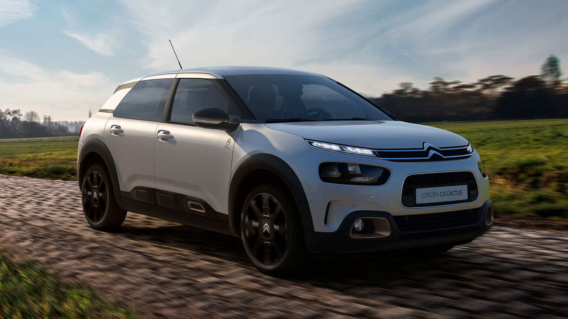 Citroen C4 Cactus Origins