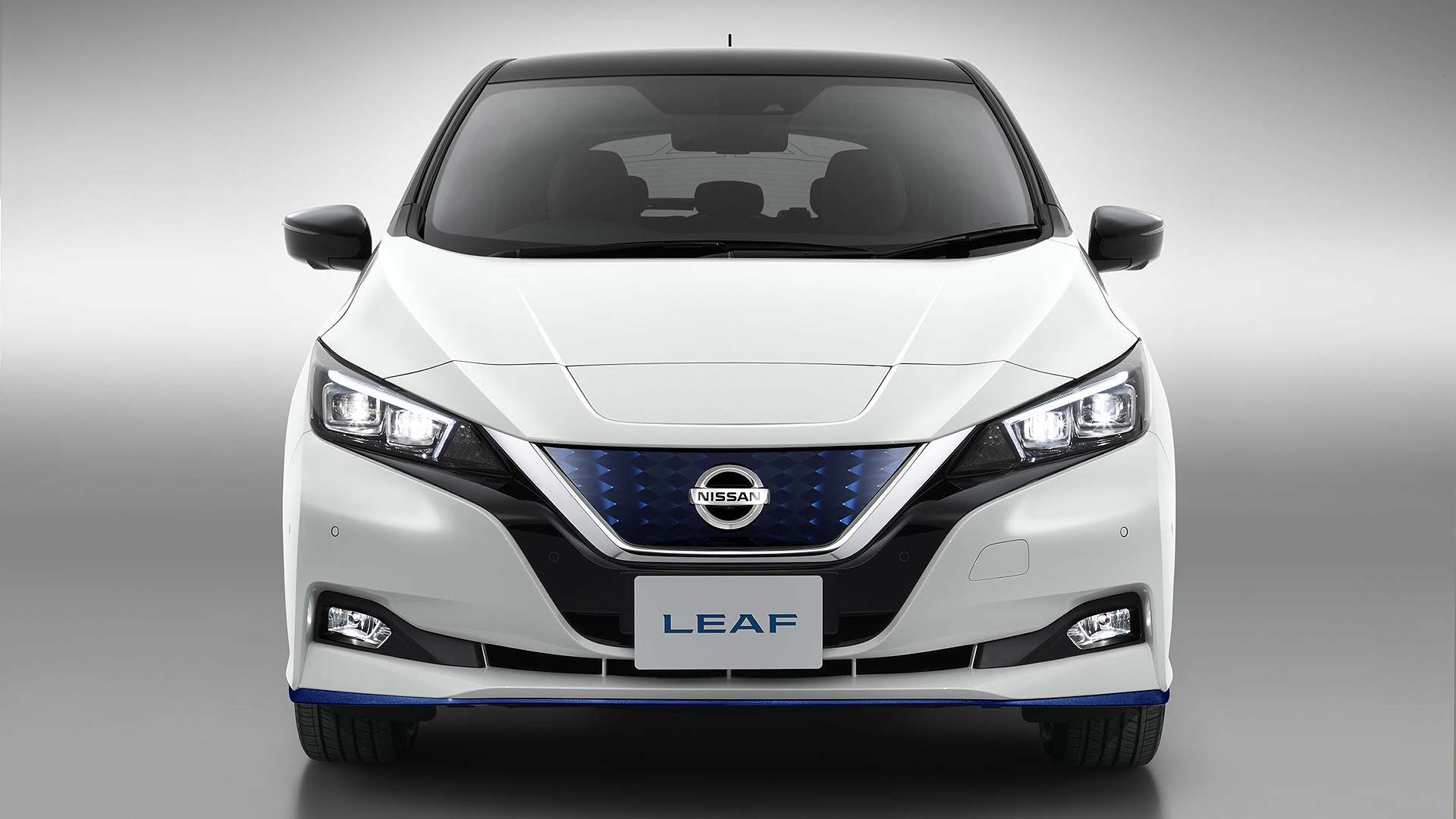 2019 Nissan Leaf