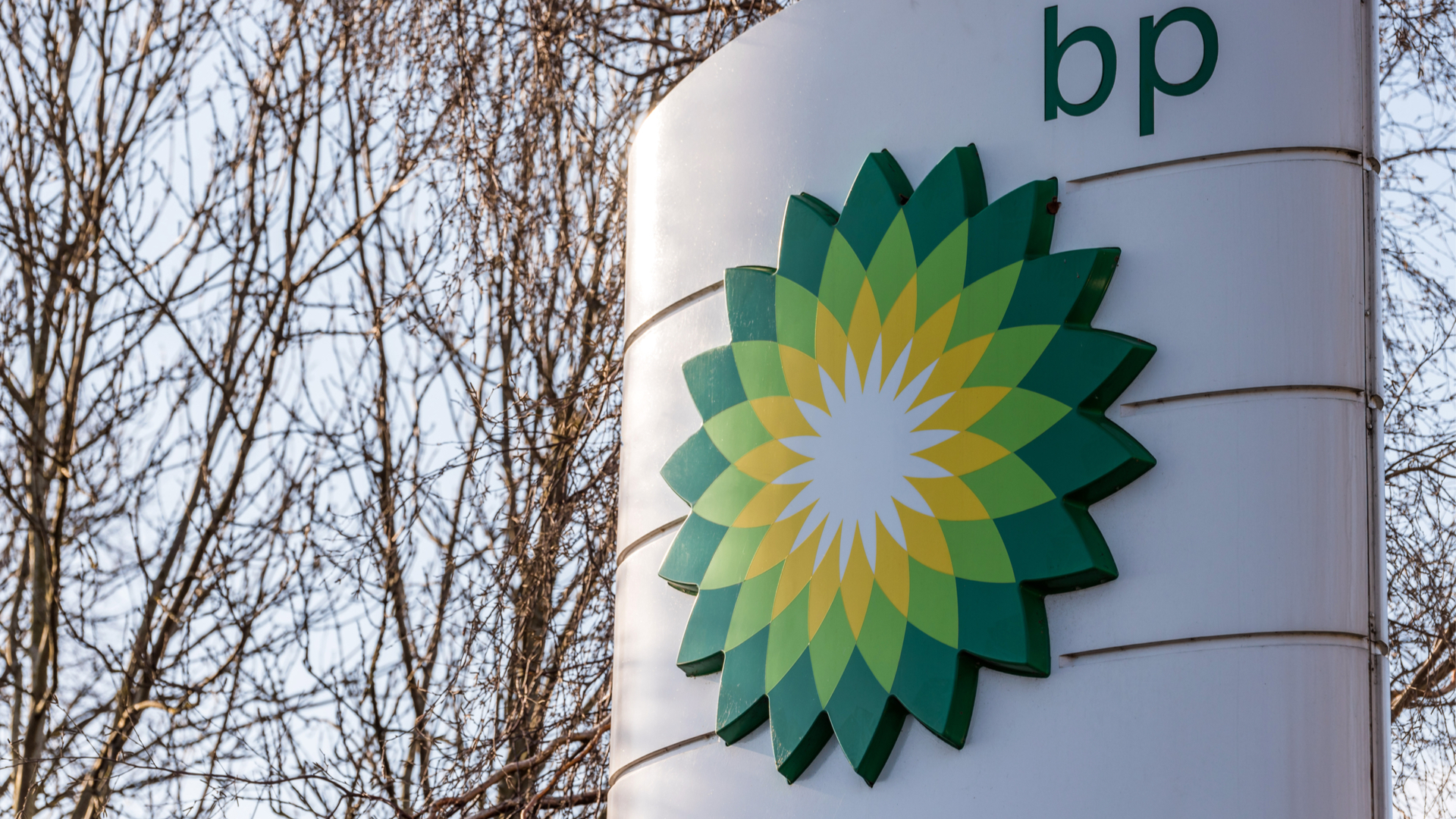 BP ends partnership with Nectar