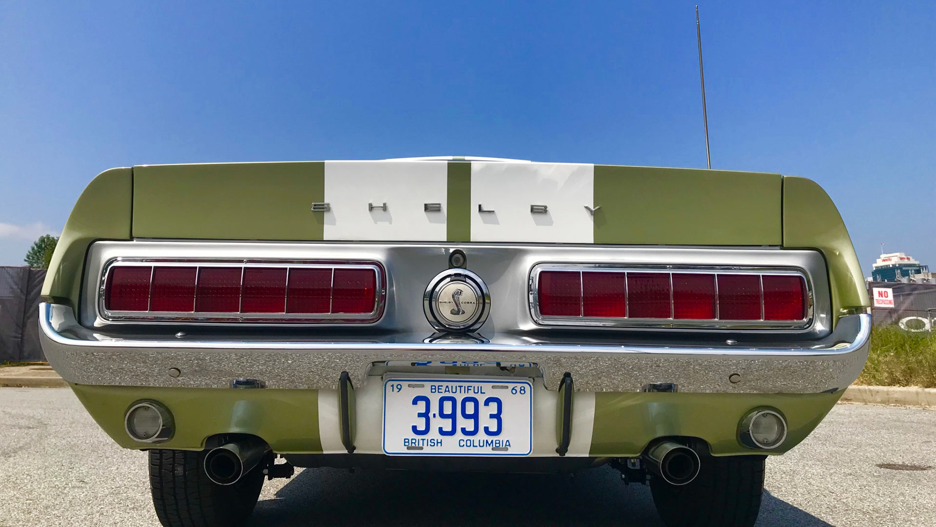 Bring a Trailer 1968 Shelby Mustang GT350