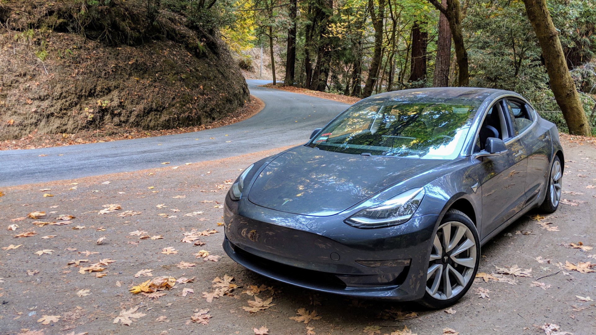 Tesla Model 3 long term update