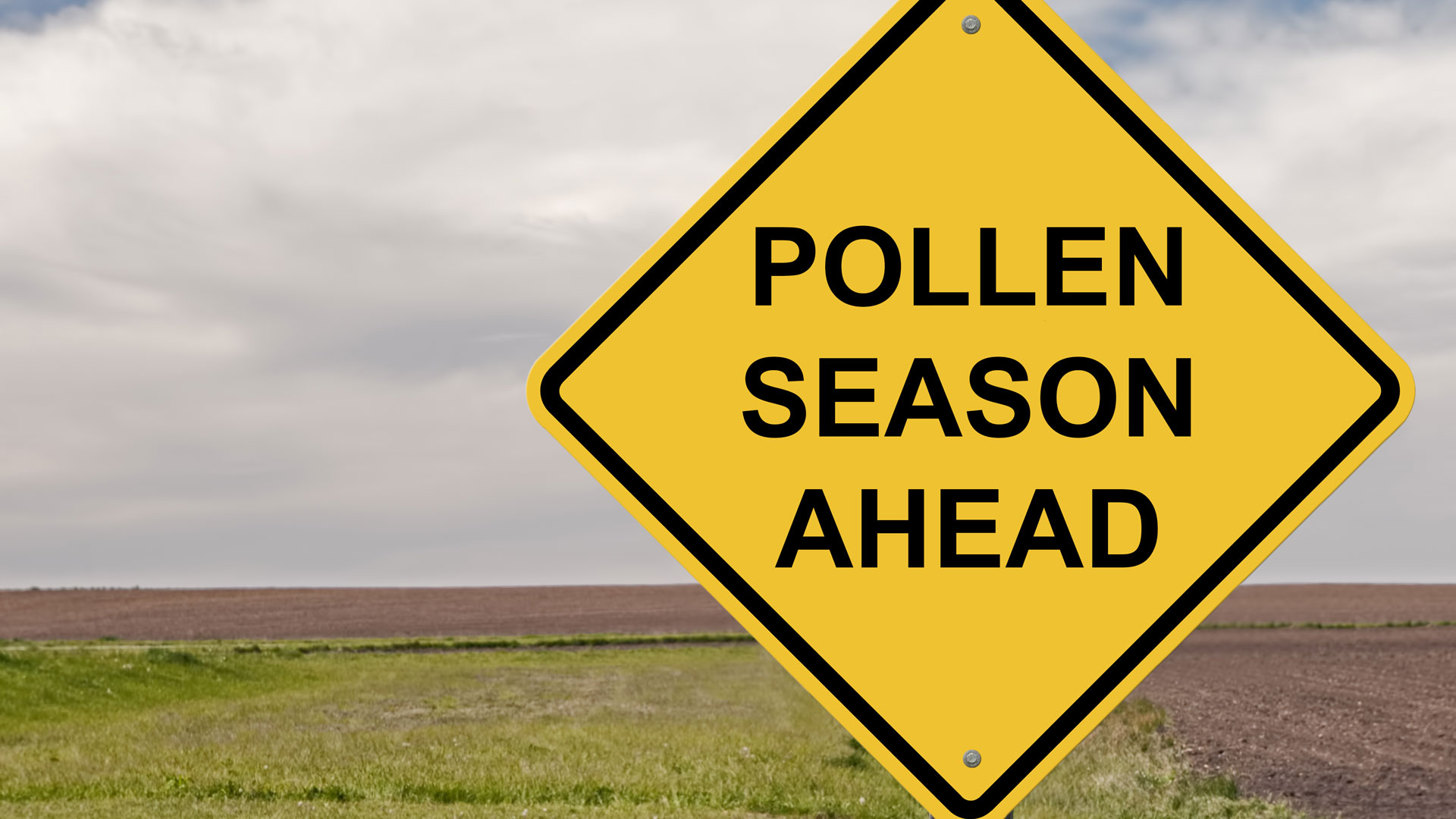 Pollen season ahead for drivers