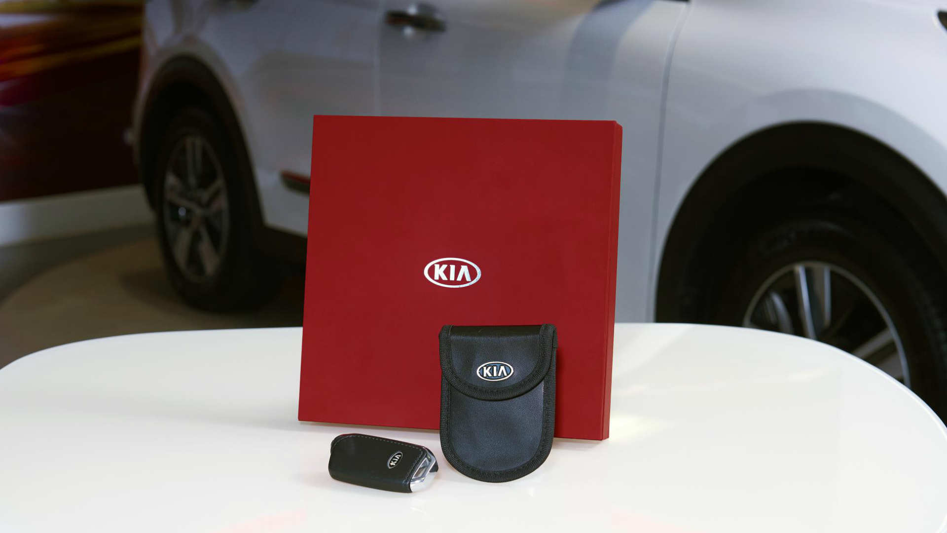 KiaSafe Faraday cage