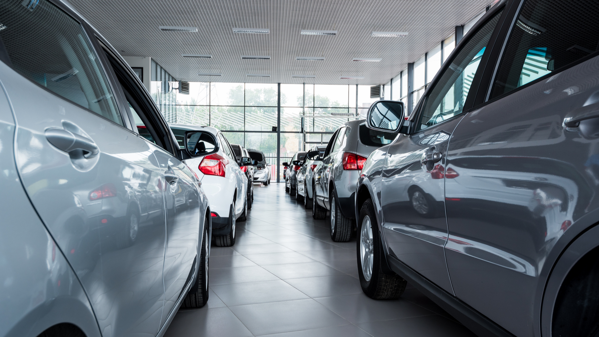 Cars for sale in showroom