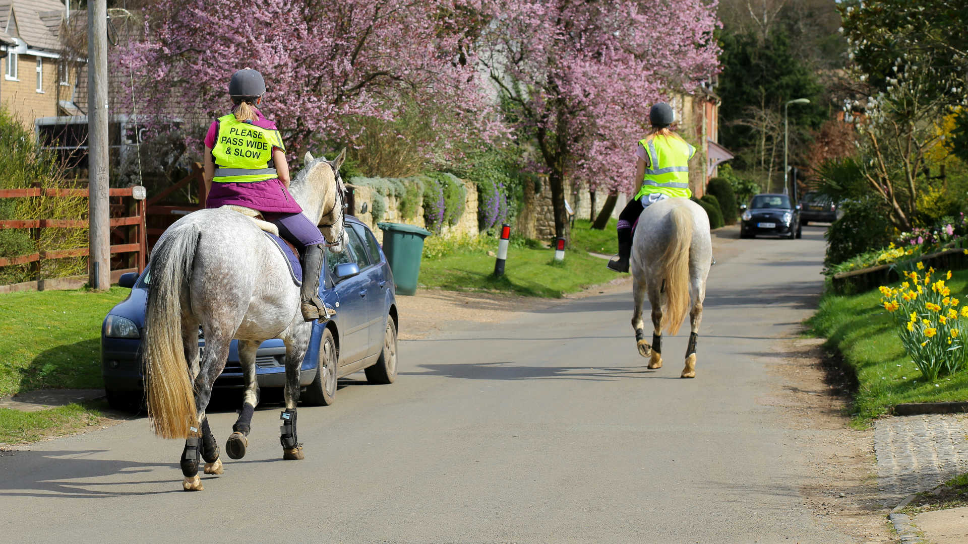 Pass a horse wide and slow