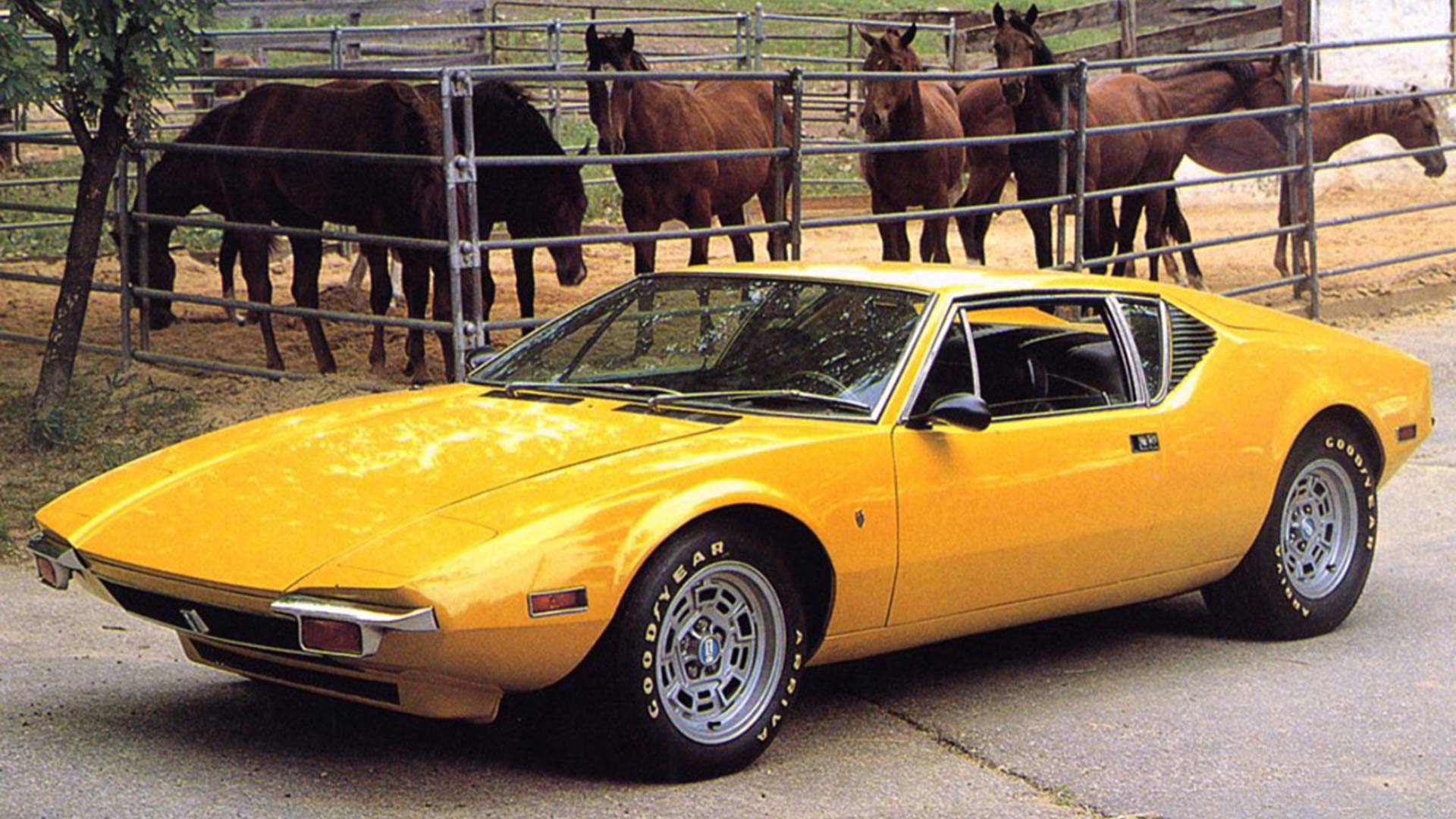 1971 De Tomaso Pantera