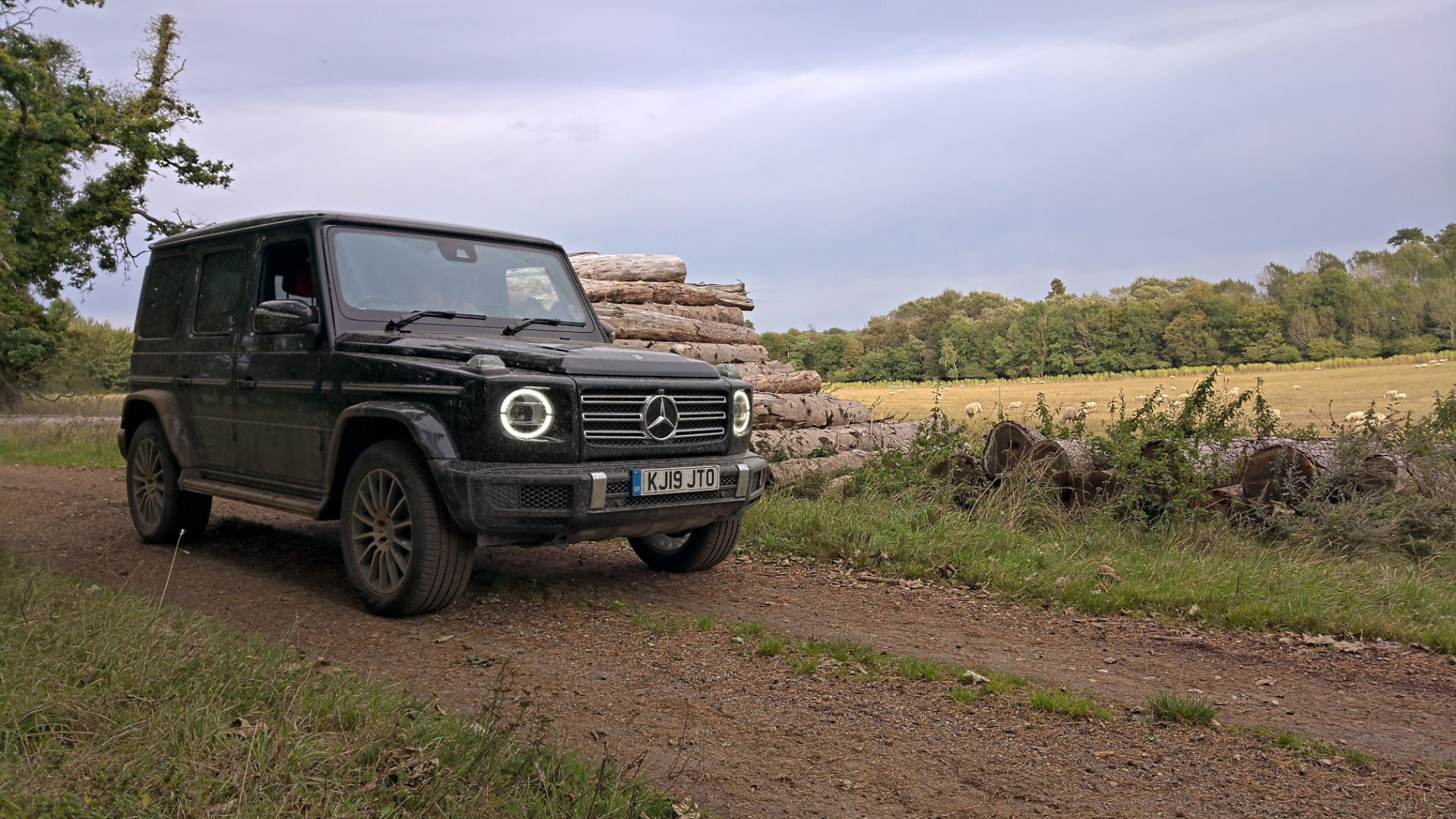 Mercedes G-Class G350 review 2019