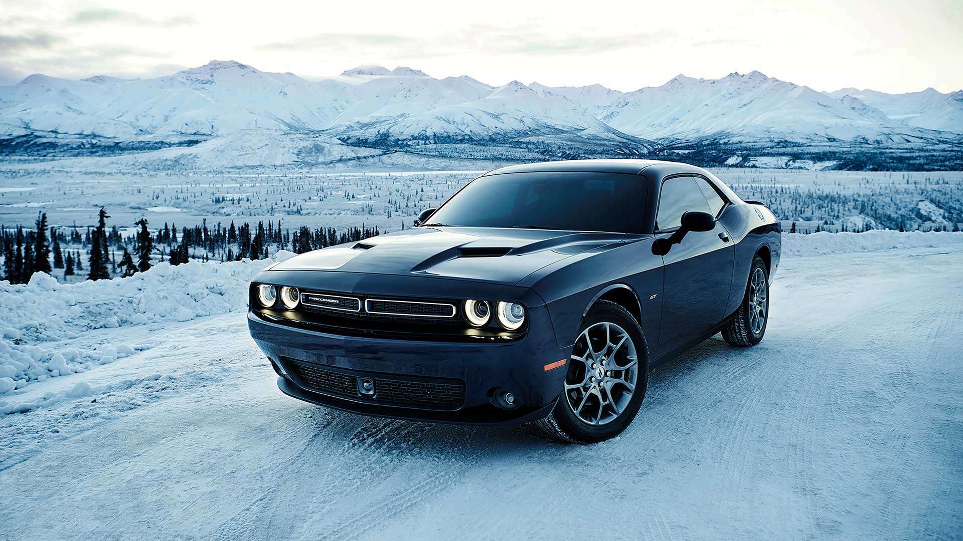 50 years of the Dodge Challenger