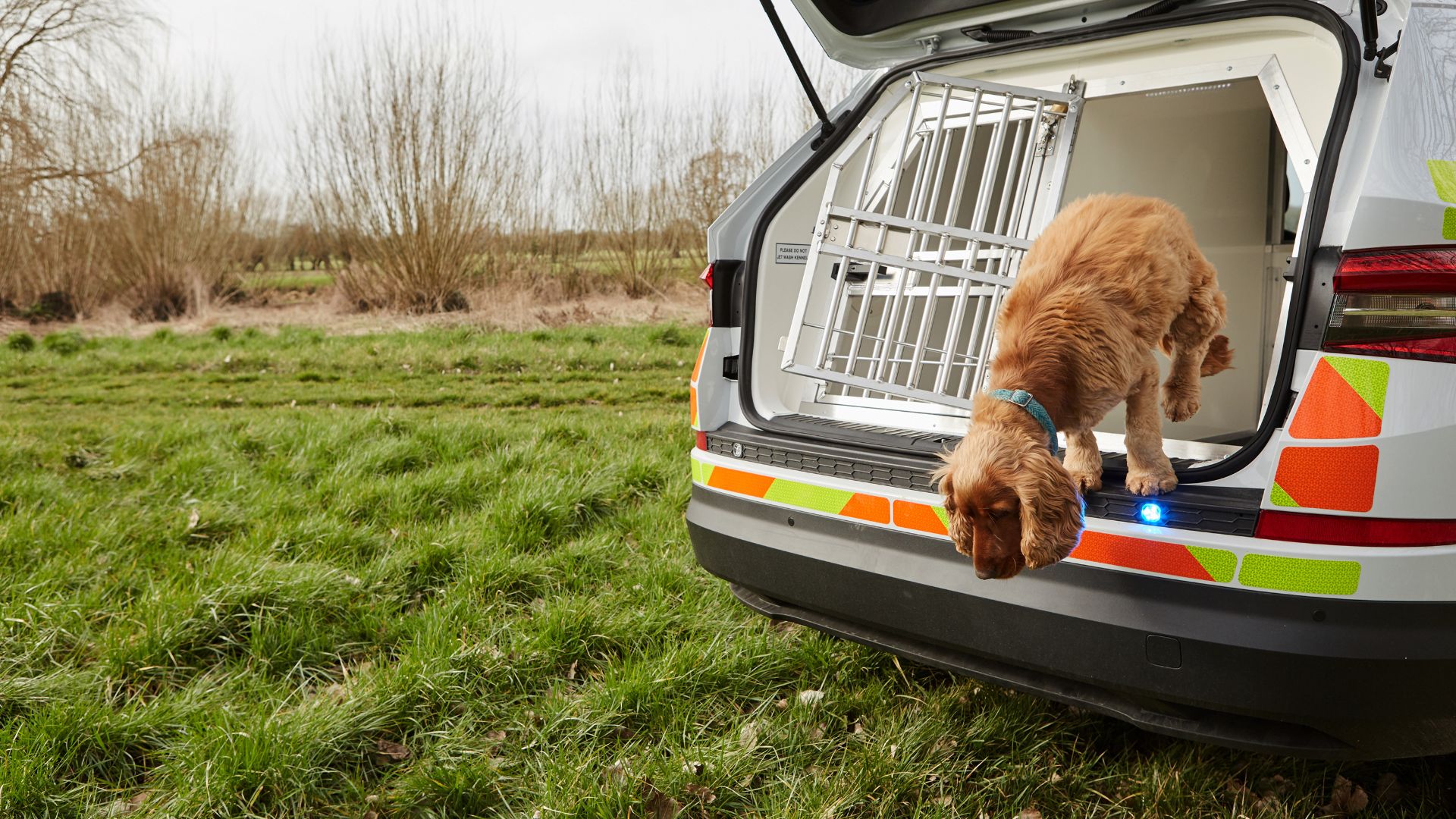 Skoda Kodiaq joins police dog fleet