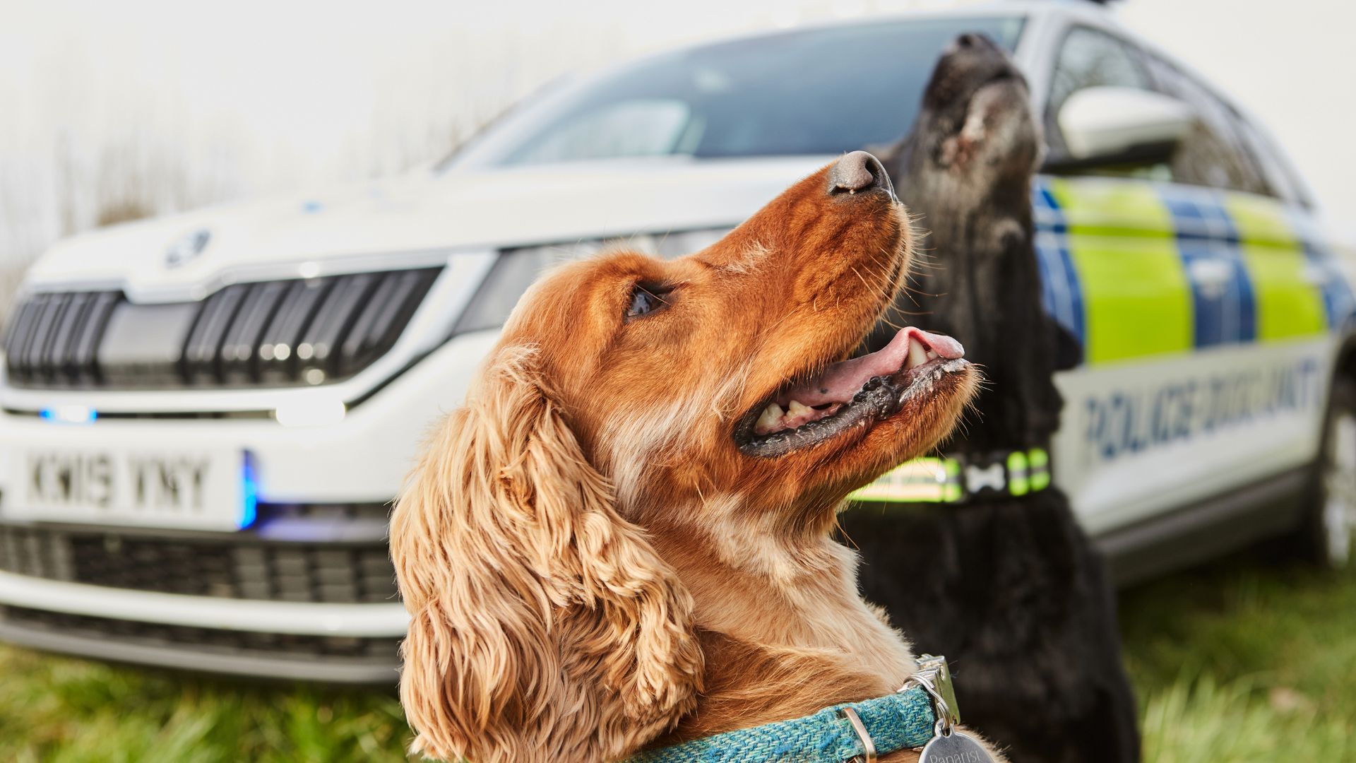 Skoda Kodiaq joins police dog fleet