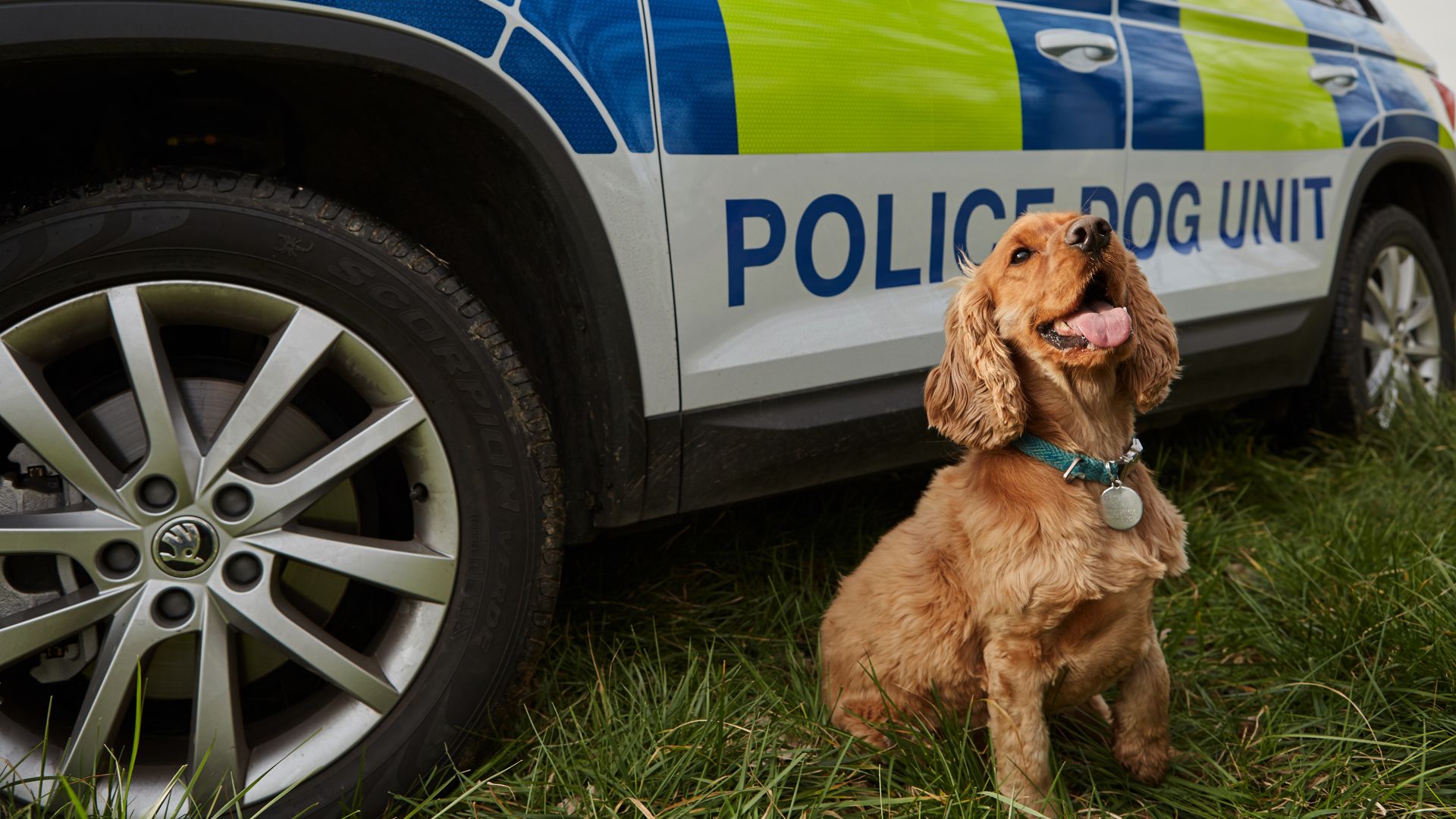 Skoda Kodiaq joins police dog fleet