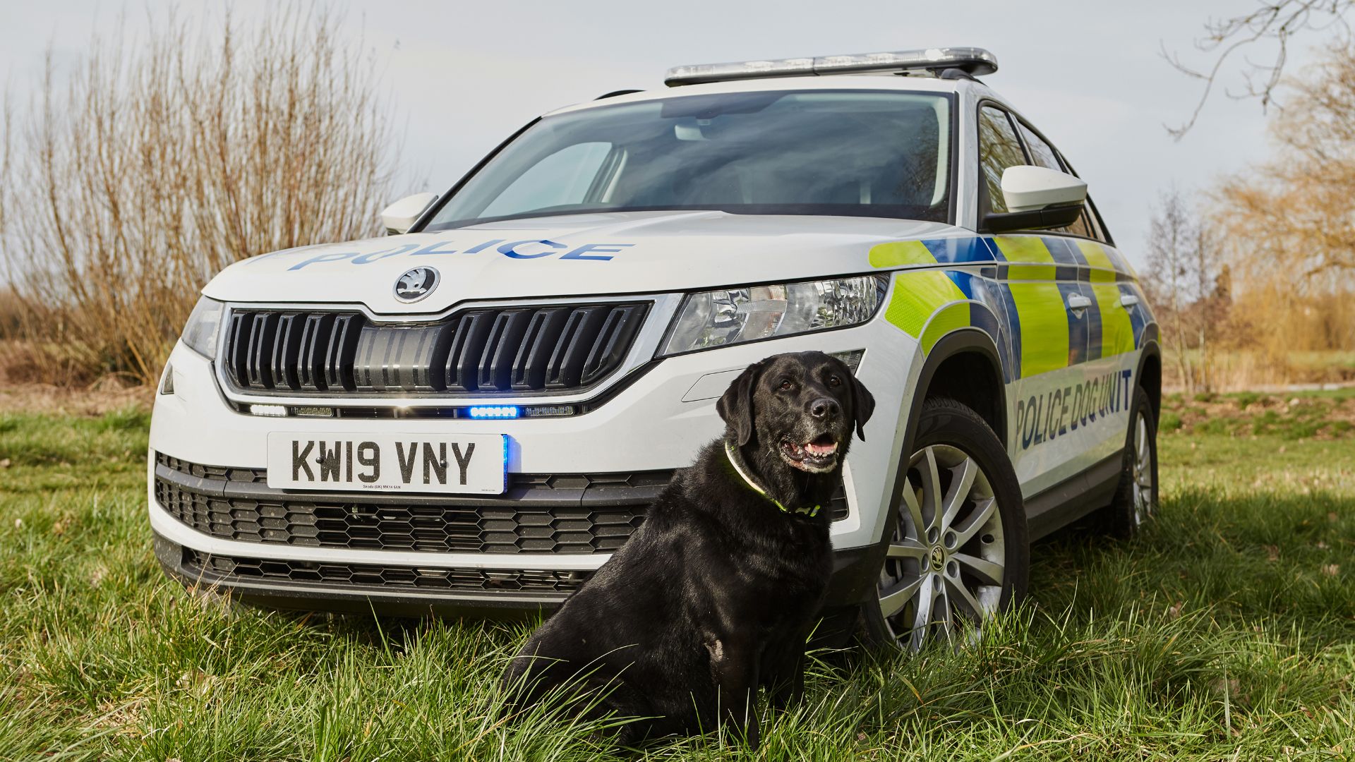 Skoda Kodiaq joins police dog fleet