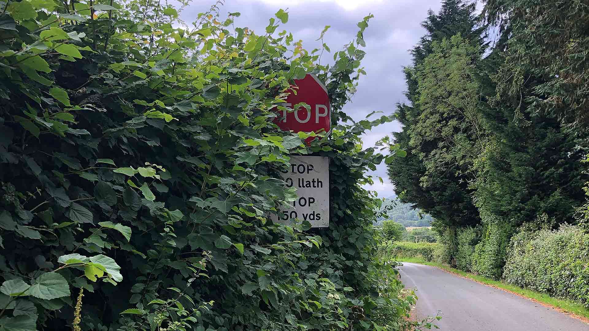 Obscured Stop sign on a rural road