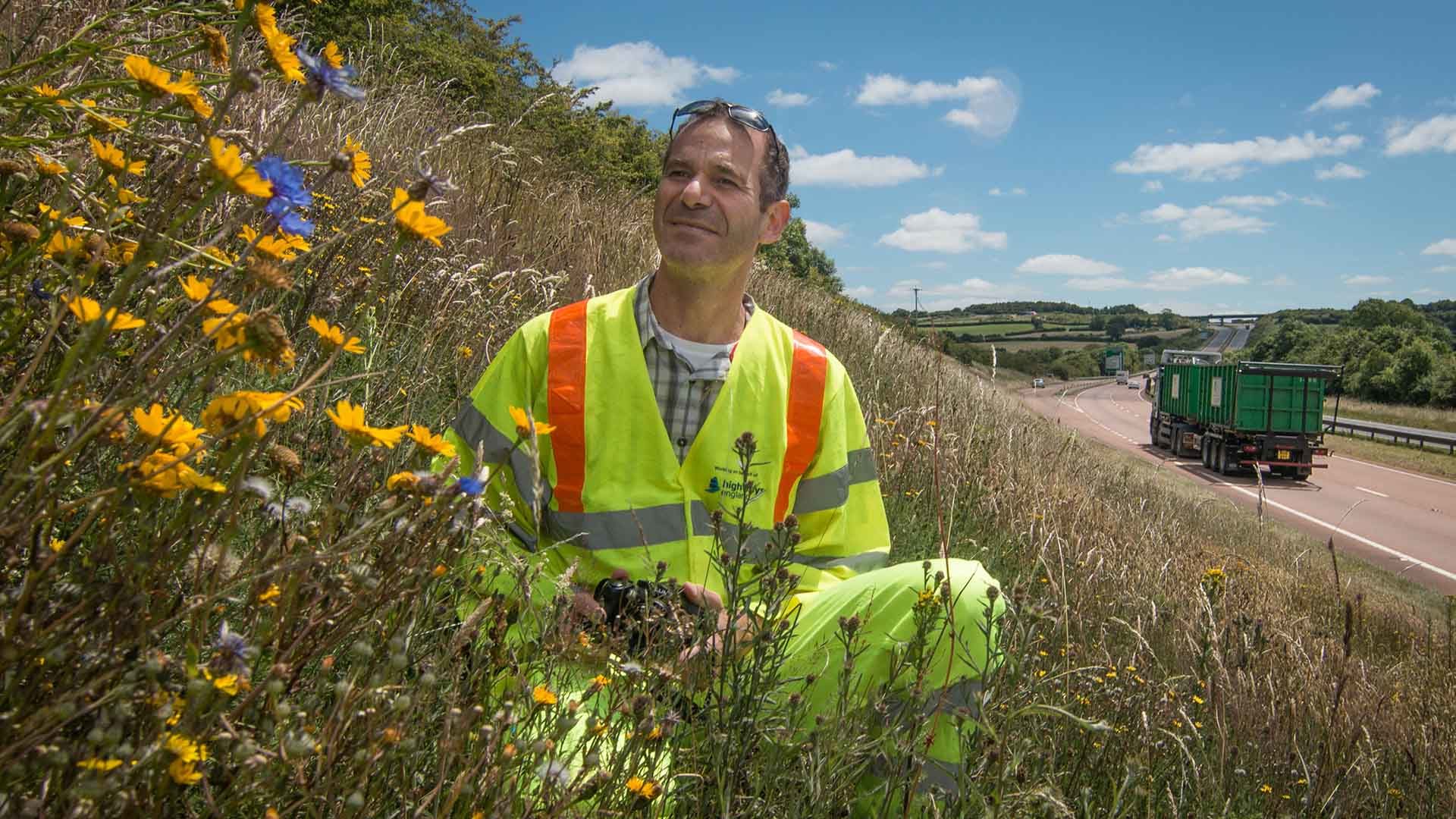 Highways England grassland on A38