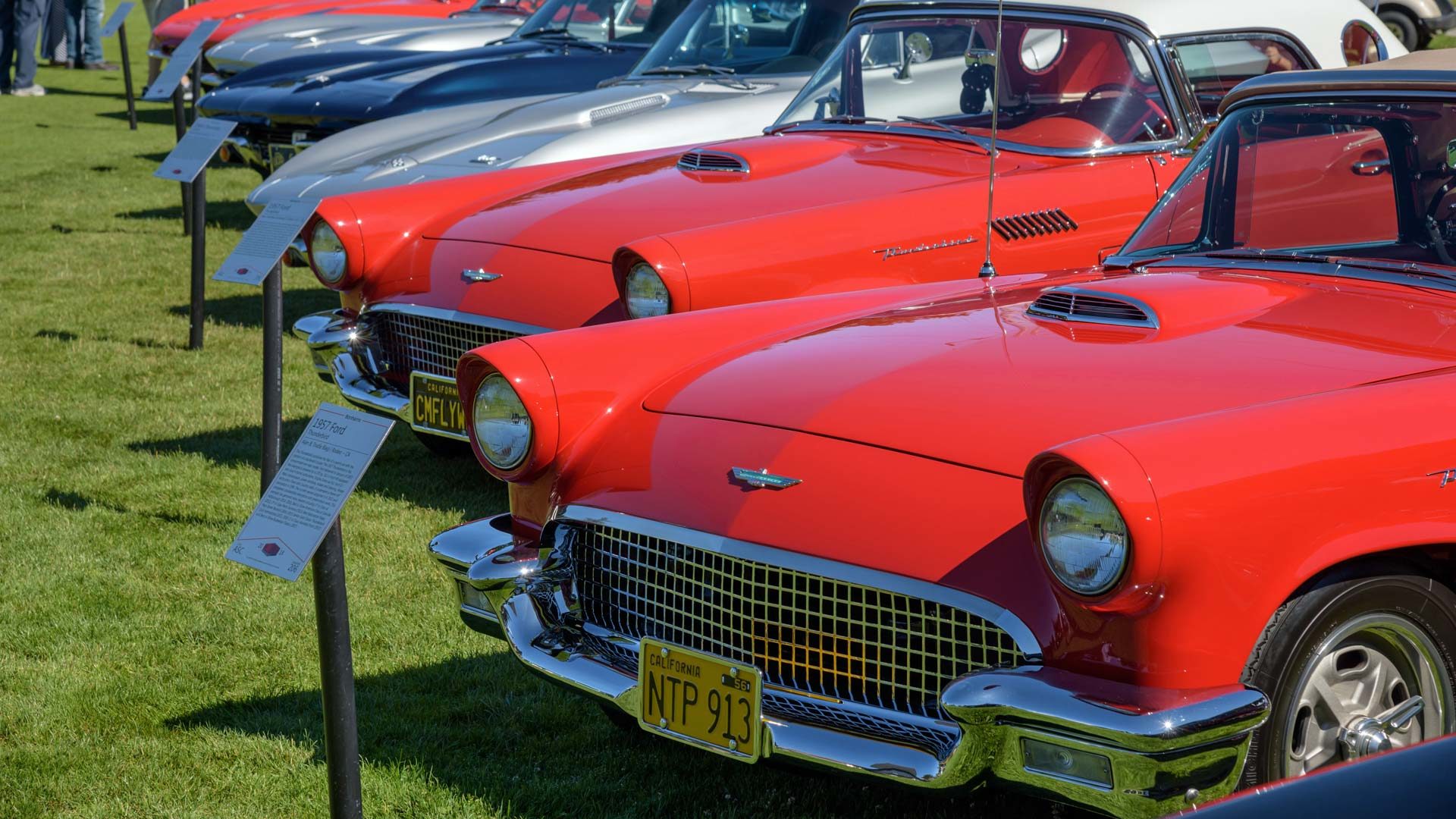 Hillsborough Concours 2021