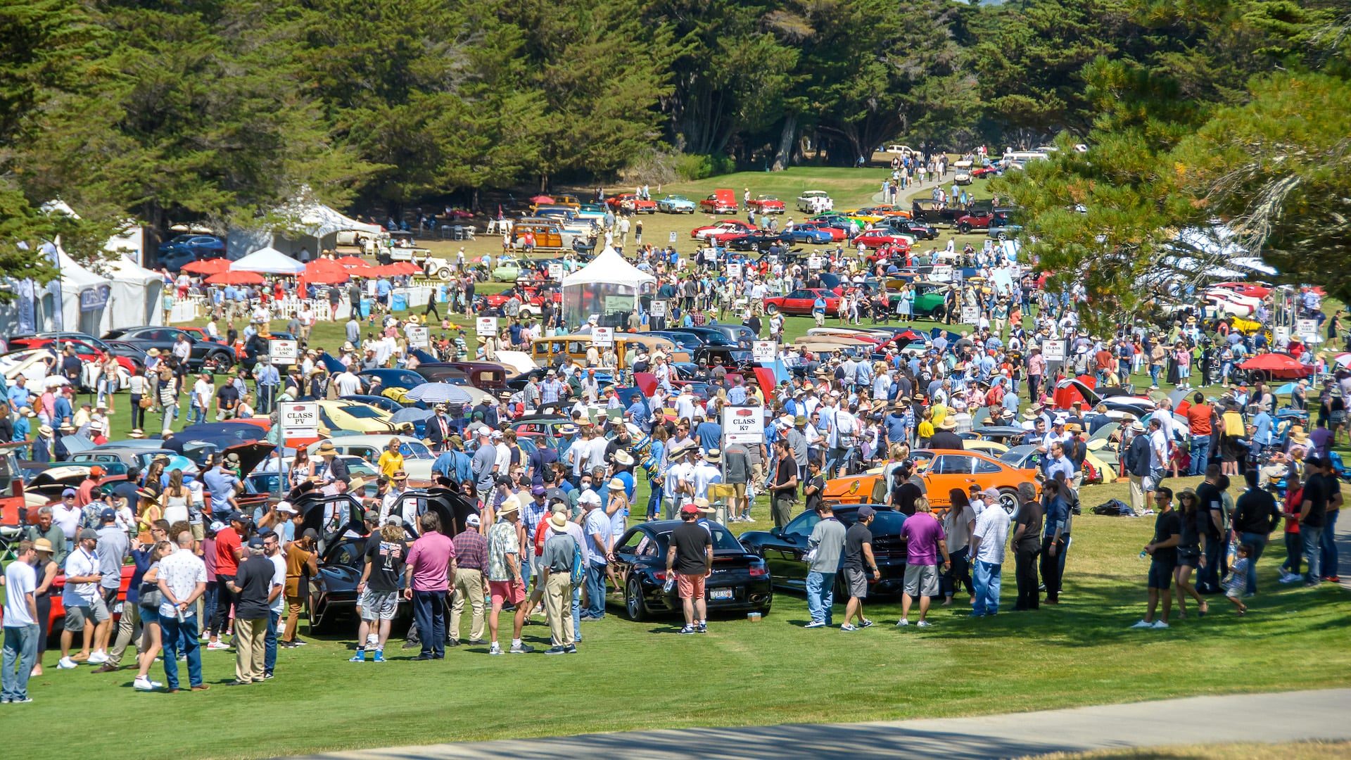 Hillsborough Concours 2021 Results