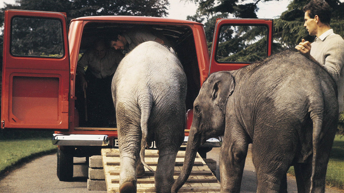 Ford Transit: excellent trunk capacity