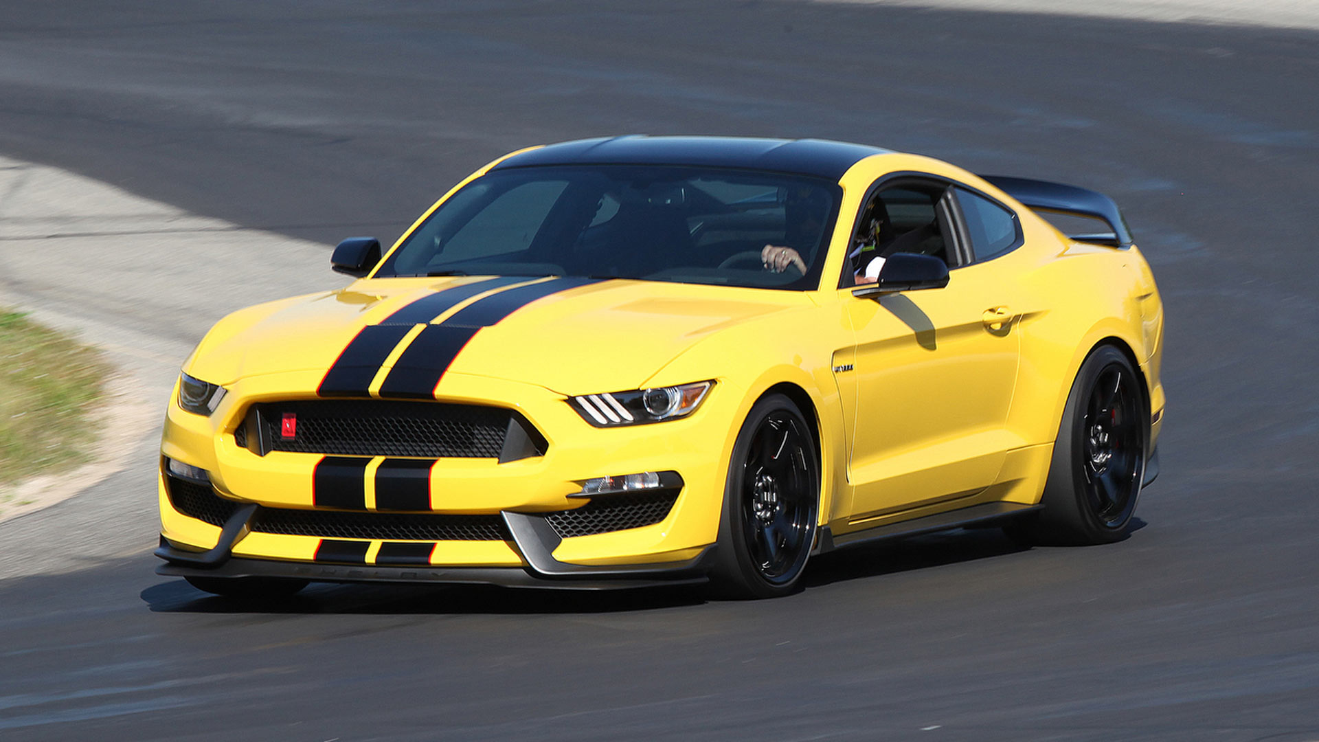 2015 Shelby GT350R