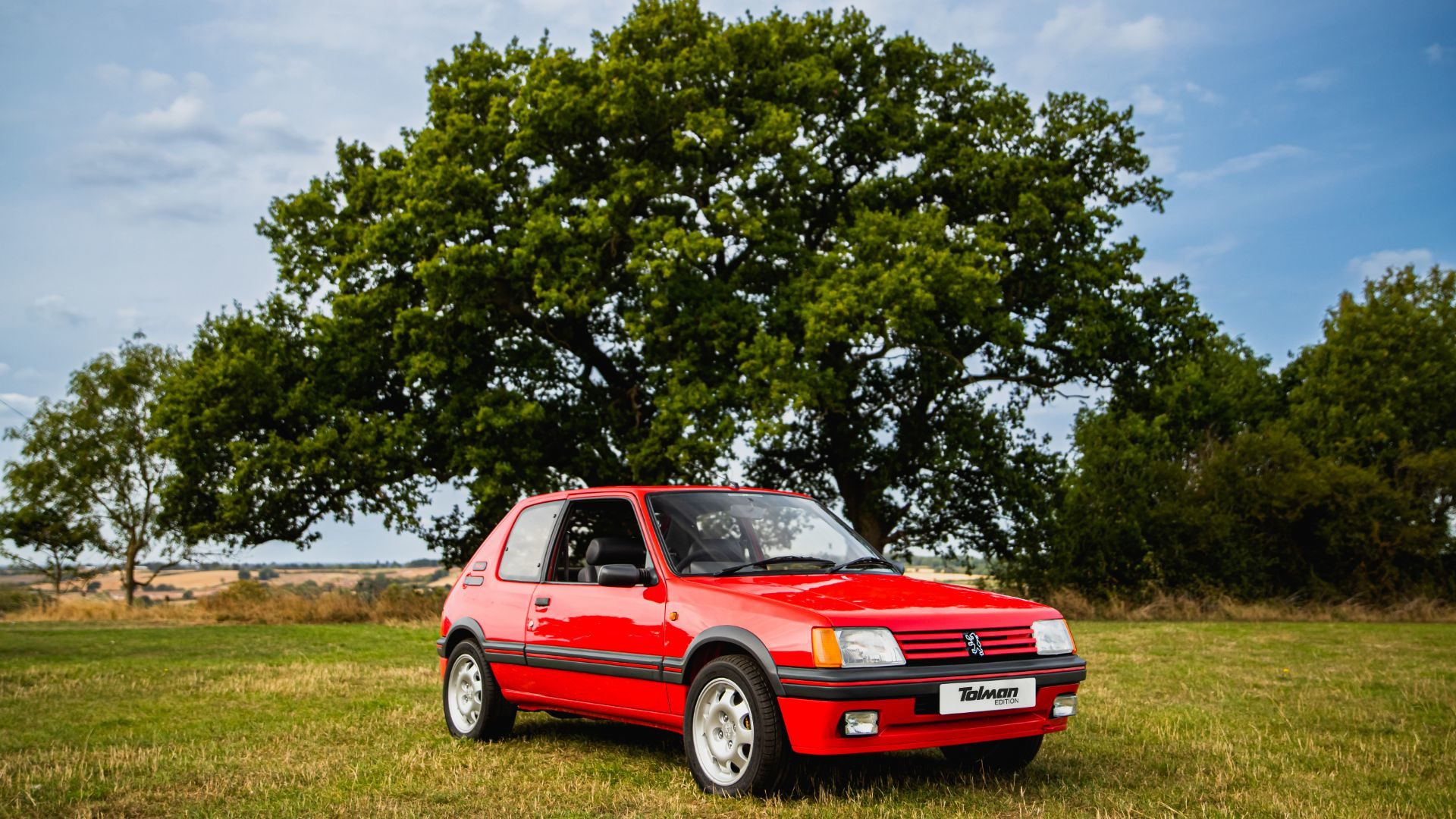 Peugeot 205 GTI Tolman Edition