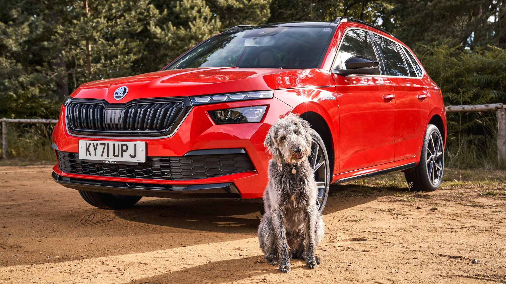 Skoda Happy Hounds Dog Playlist