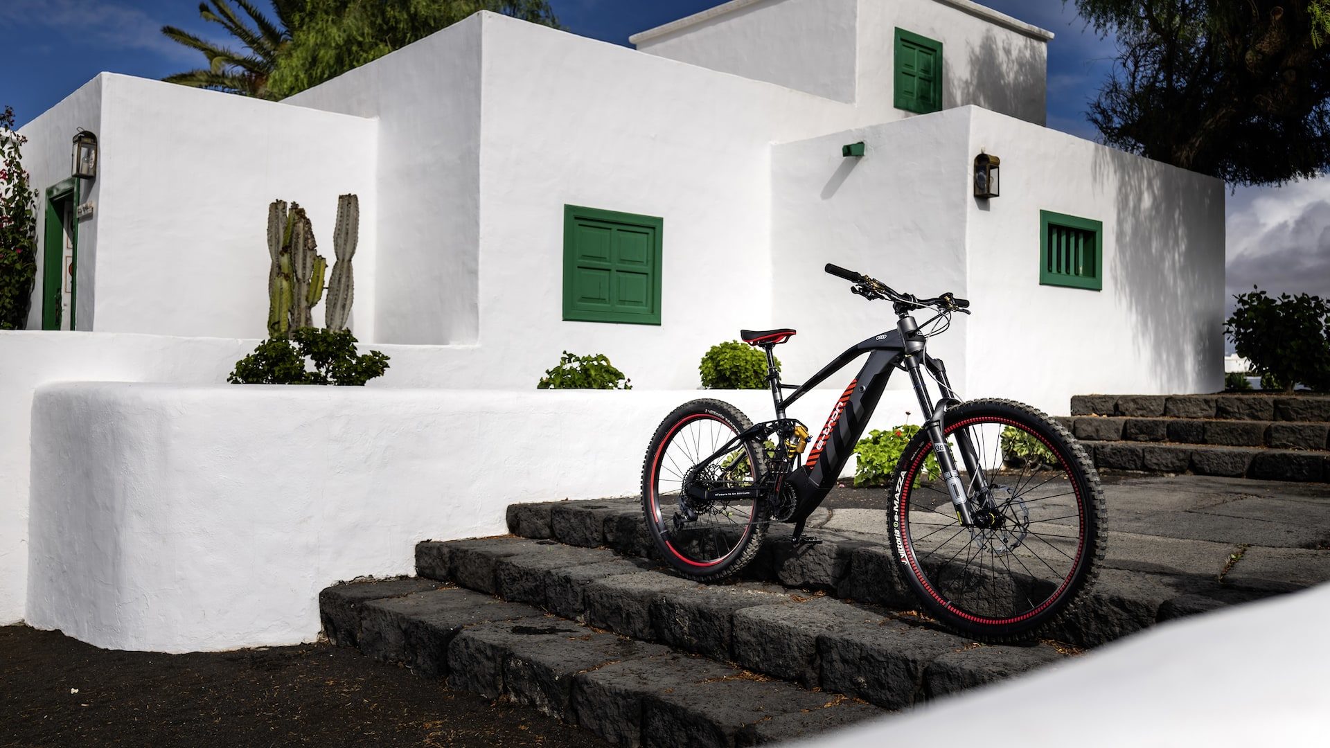 Audi Fantic Electric Mountain Bike