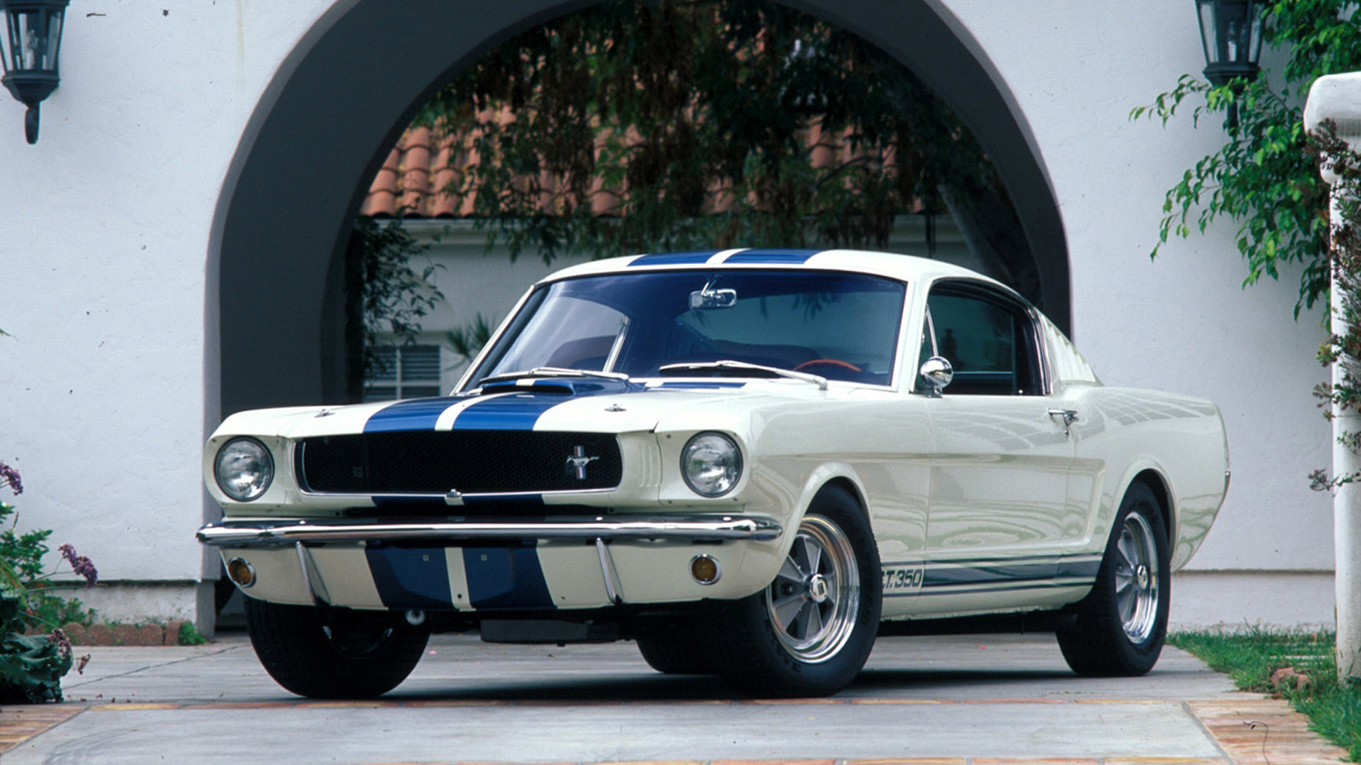 1965 Shelby Mustang GT350