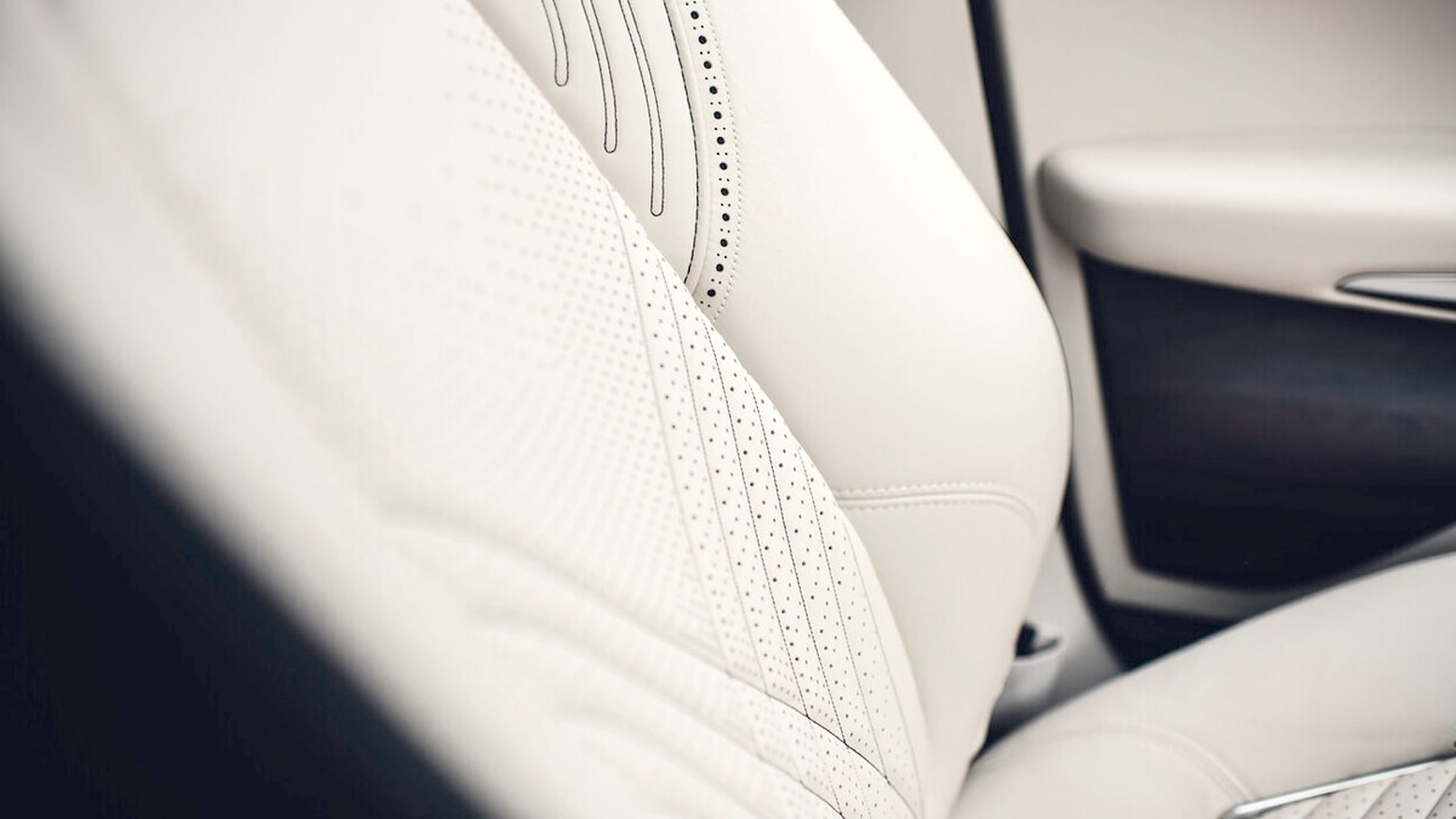 Sustainable Leather Upholstery